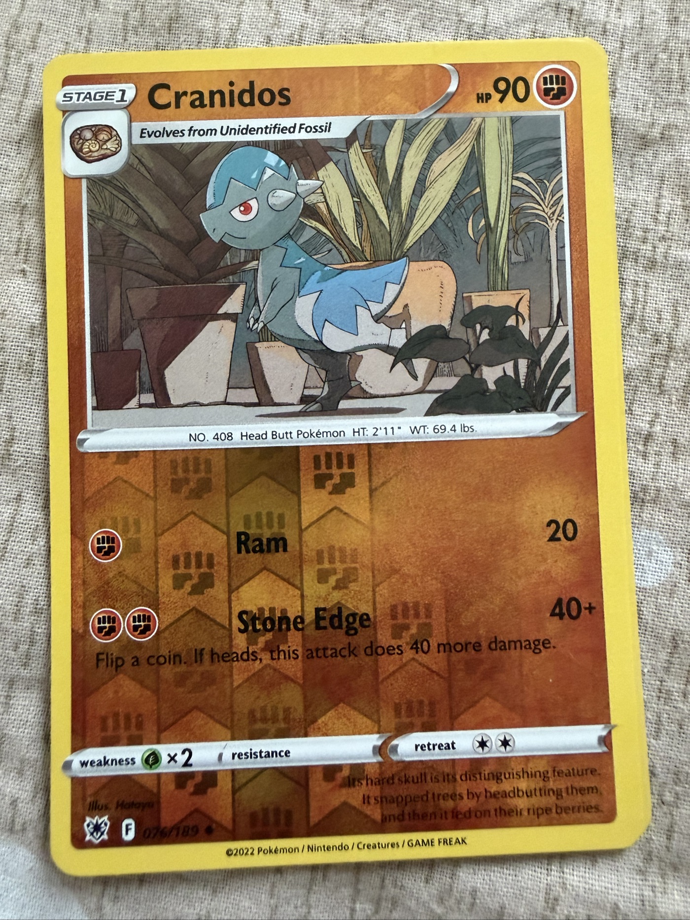 Cranidos